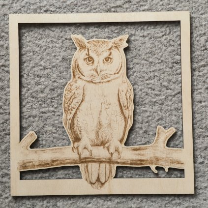 Dřevěný obraz - Sova