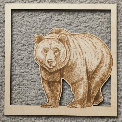 Dřevěný obraz - Medvěd