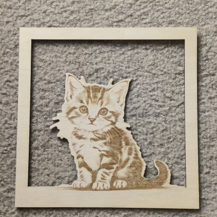 Dřevěný obraz - Kotě