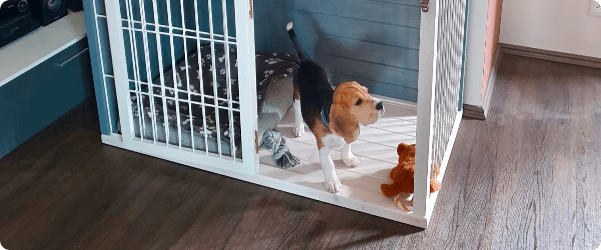 Jak naučit psa na klec