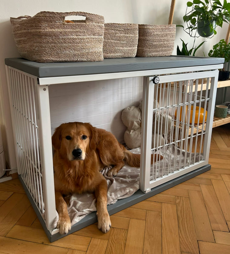 Proč učit na klec?