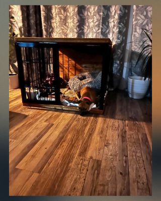 🐶 Tady je klid. Místo, kam si pes chodí odpočinout sám. Bez stresu. Bez zavírání. Klec, která není klecí, ale bezpečným...