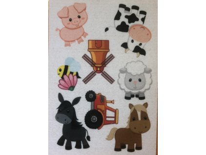 404318831 1801234833659351 8138445547024830163 n