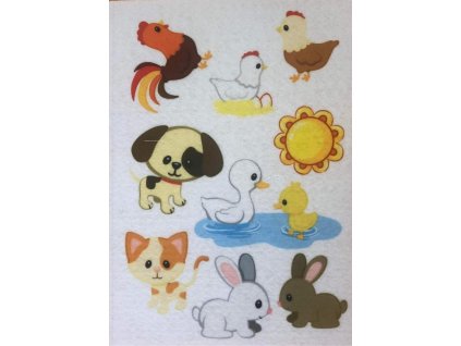 404379047 337242362360971 8275577396037646929 n