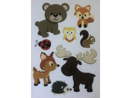 404309624 916864240025555 5552114408210341469 n