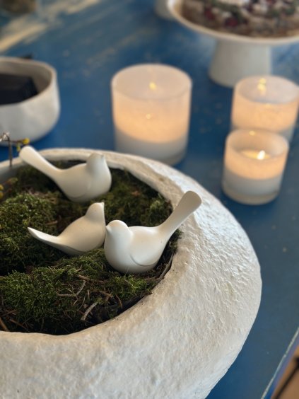 Soška Červenky obecné