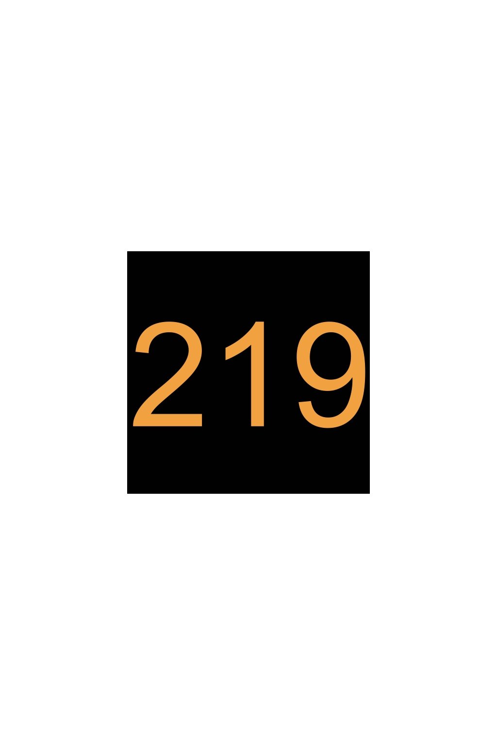 1004555-13 REPRODUKTOR 219