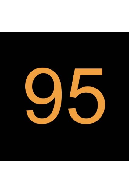 860079-02 POJISTNÝ KROUŽEK 95