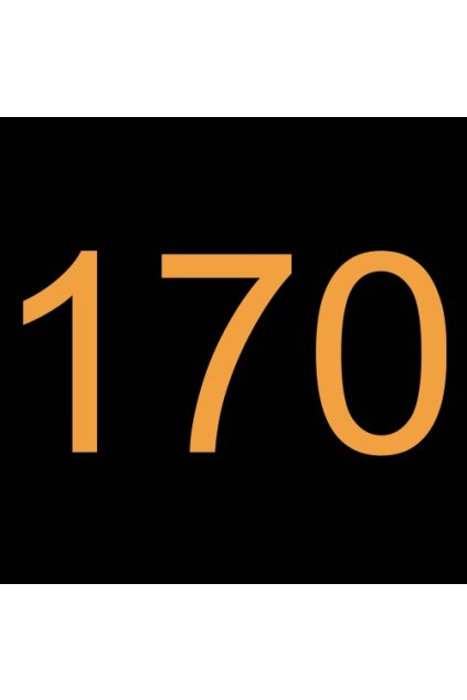 861475-00 LOŽISKO 170