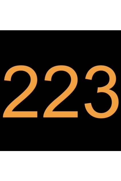 618302-10 ŠROUB M5 X 16 SS 223