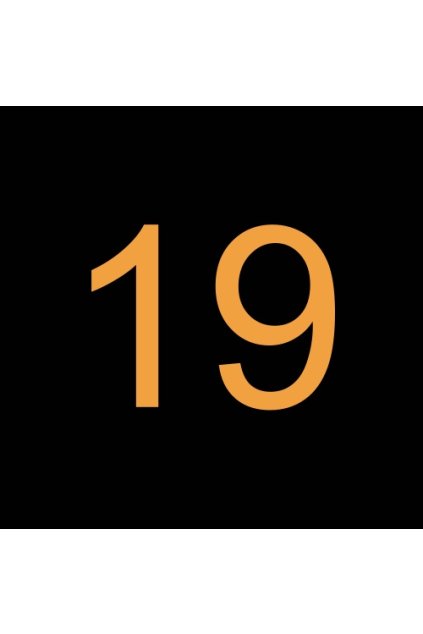 38821200 POJISTNÝ KROUŽEK 19