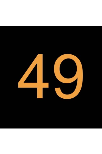 49# 1002713-00 HNACÍ ÚSTROJÍ A PASTOREK