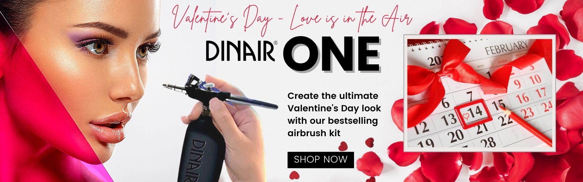 Valentine2 - Dinair One
