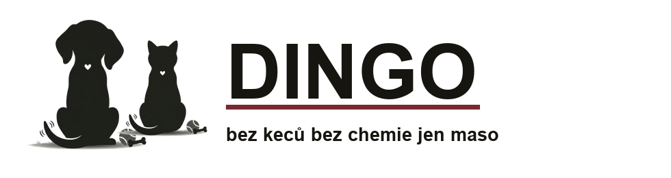 DINGO