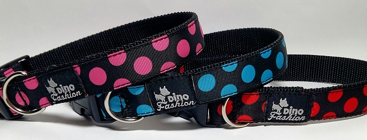 Jak vybrat obojek pro psa