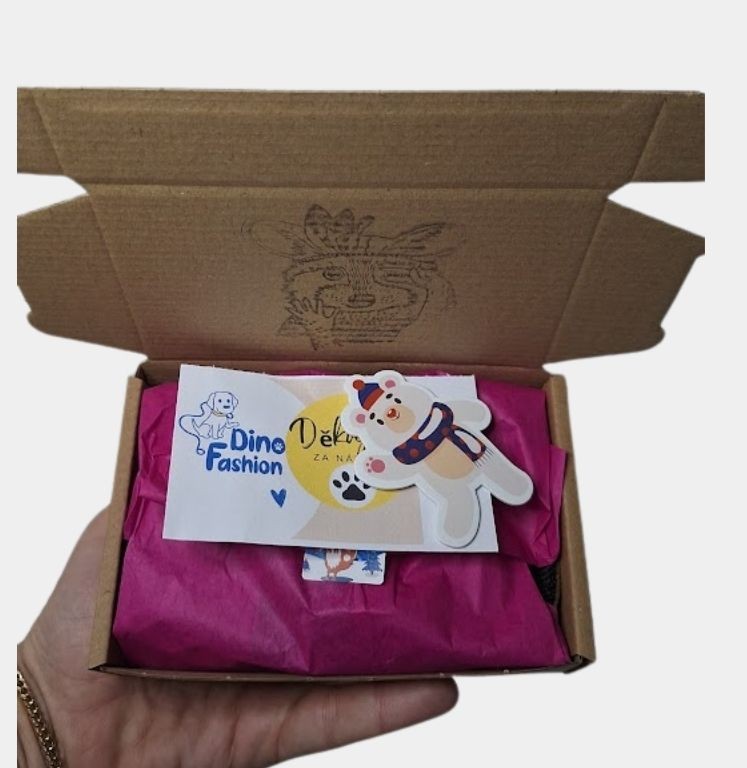 25+ tipů na nejlepší dárky pro pejskaře: Jak potěšit páníčka i psa?