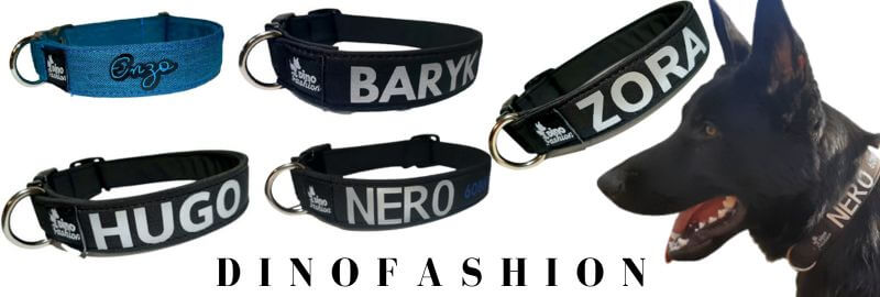 Obojek se jméném pro psa