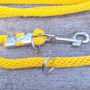 Jak vybrat správné vodítko pro velkého psa: Aby vás neřezalo do dlaní a opravdu vydrželo