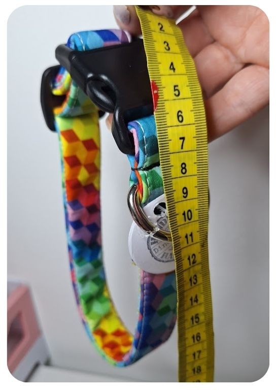 Obojky na míru pro psy – jak vybrat ten správný