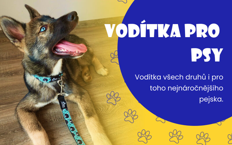 Carousel voditka mob