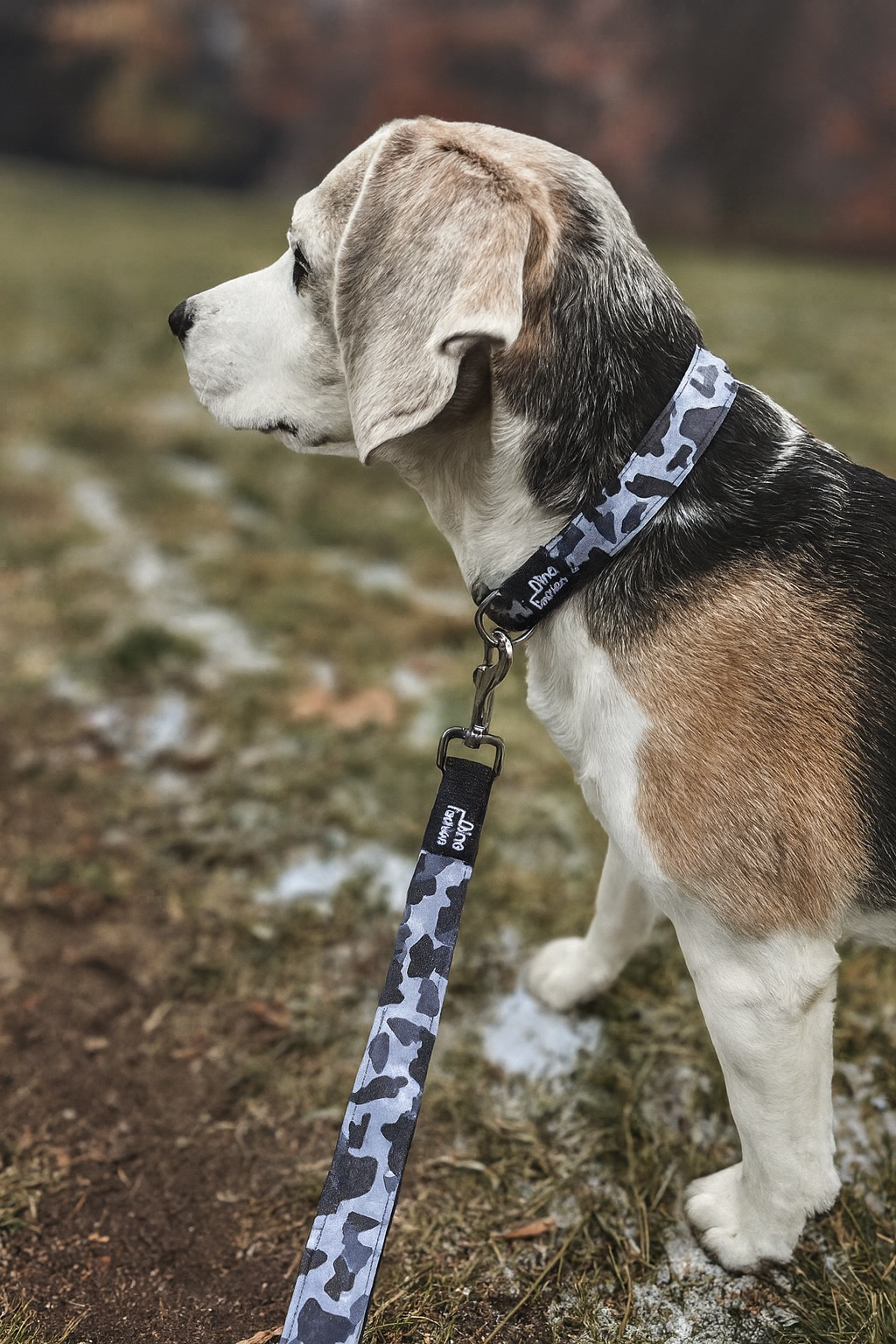 maskáčový obojek pro psa