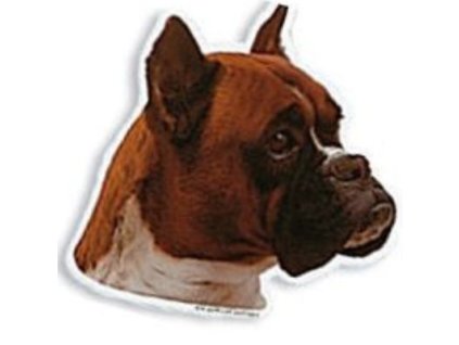 Samolep. Boxer červený hlava pr. cca 14cm 2ks