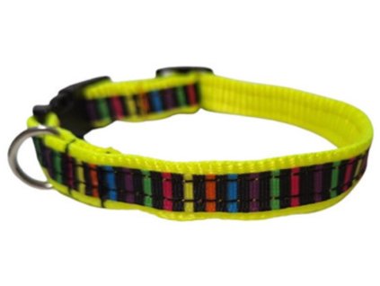 Obojek Dinofashion Coloured Stripe