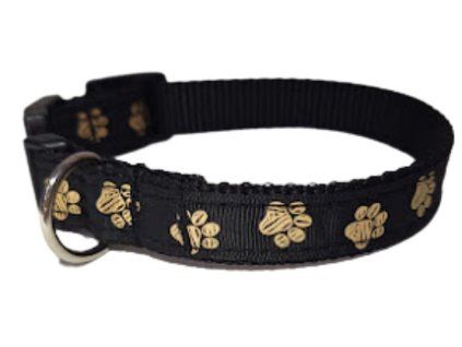 Obojek Zlaté tlapky