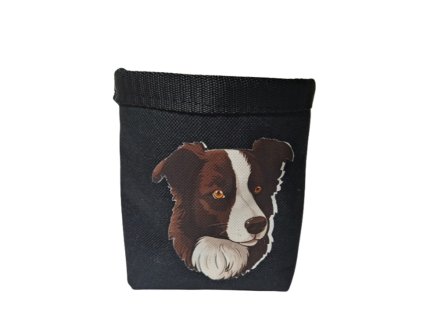 pamlskovnik pro psa border collie