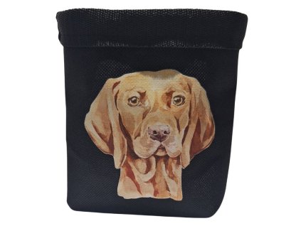 Pamlskovník Vizsla