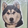 Samolepka Husky hlava cca 14cm 2ks