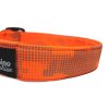 obojek pro psa reflexní oranzovy
