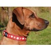 Vánoční obojek pro psa červený