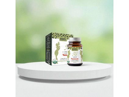 23169714 0c58 4988 aacb 2dbf0016feb0