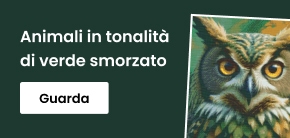 category_banner_big_mobile