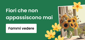 category_banner_big_mobile