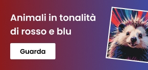 category_banner_big_mobile