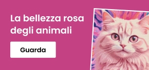 category_banner_big_mobile