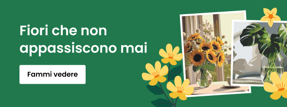 homepage_banner_right