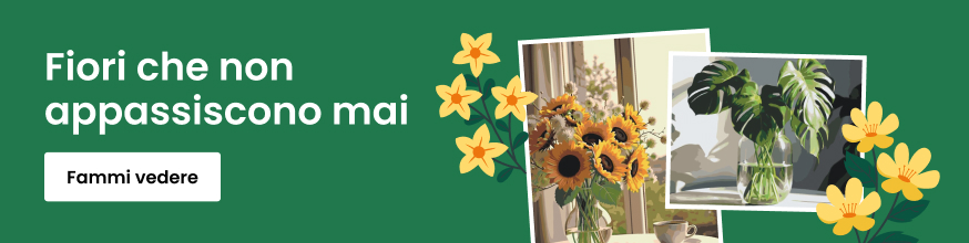 category_banner_big