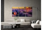 Diamond painting - Decorative (grafiche di vari pezzi)