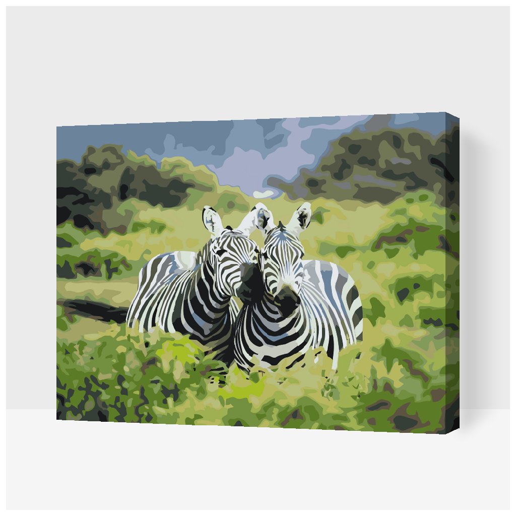 Dipingere con i numeri – Safari zebre