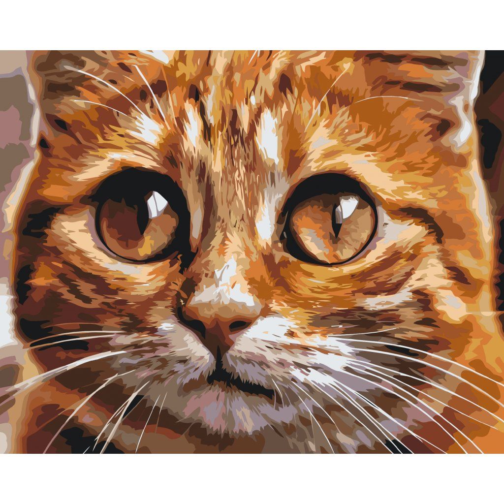 YEESAM ART – Paint By Numbers Per Adulti E Bambini: Gatto E Topo Su Tela Di Lino 40x50cm Con Cornice Inclusa - Kit Pittura Fai Da Te