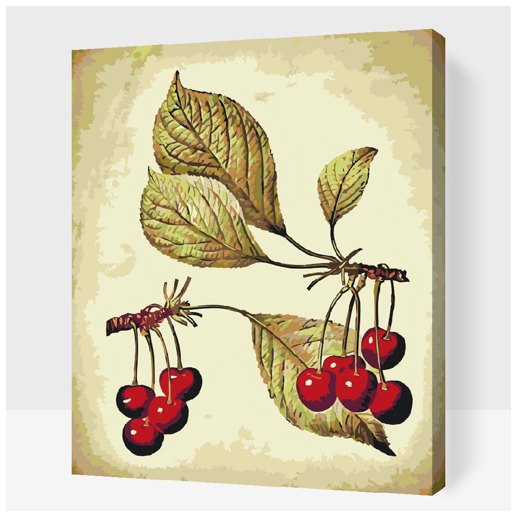 Dipingere con i numeri – Ciliegie vintage