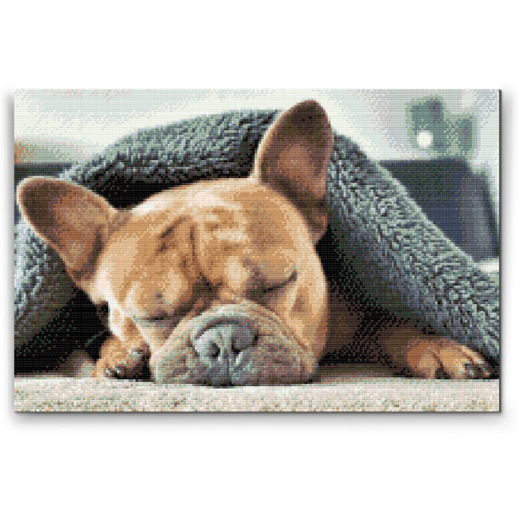 Pittura diamanti - Bulldog stanco