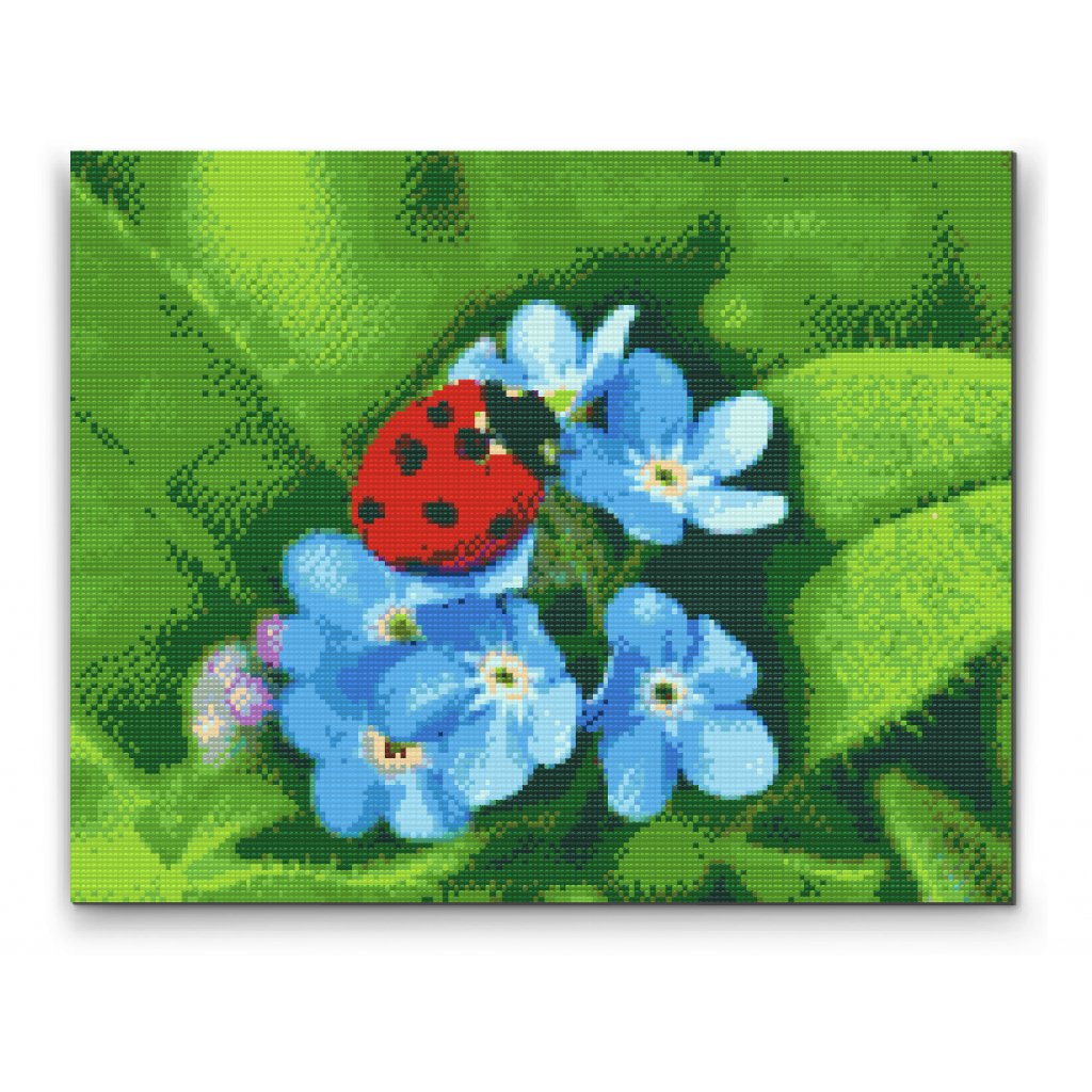 Pittura diamanti - Coccinella su fiori blu