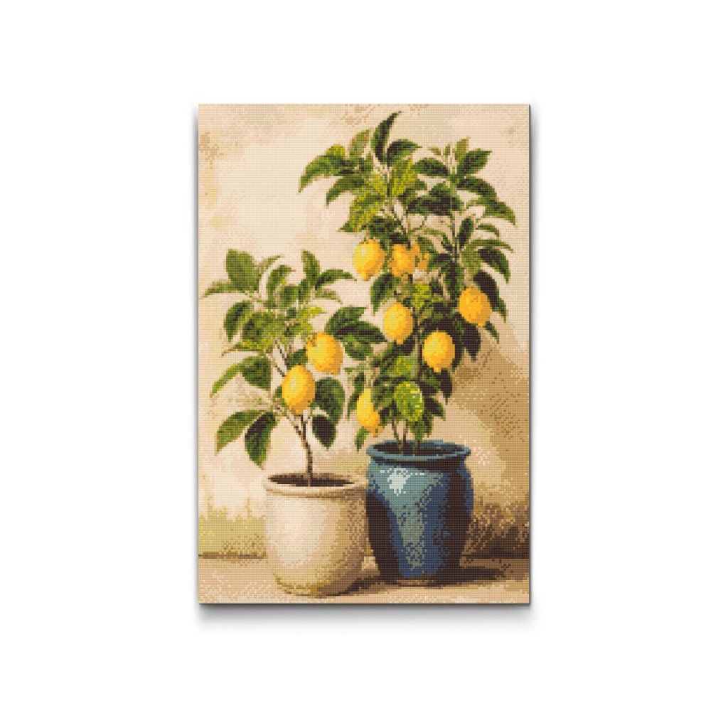 Pittura_diamante_Alberi_di_limone_in_vaso_M2