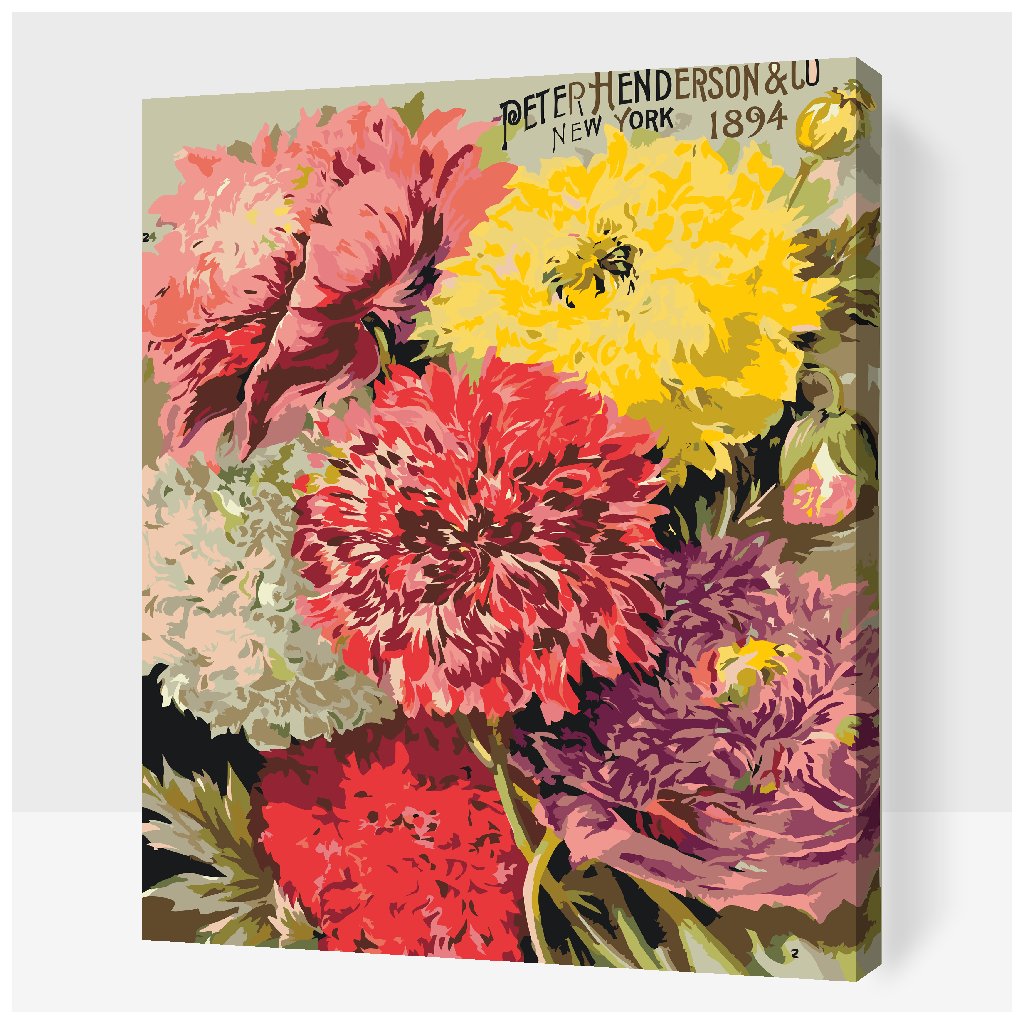 Dipingere con i numeri – Fiori colorati retrò