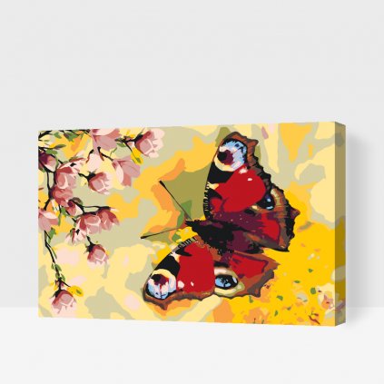 Dipingere con i numeri – Farfalla occhio di pavone