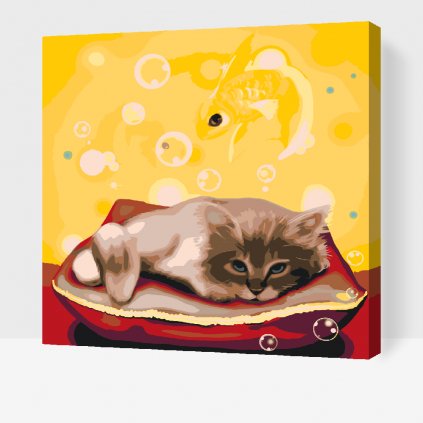 Dipingere con i numeri – Gattino sognatore